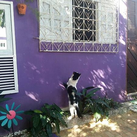 Hostel Margo Natal Exterior photo